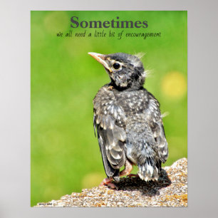 Póster Todos Necesitamos Un Poster De Aula De Alentamient