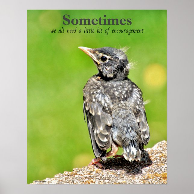 Póster Todos Necesitamos Un Poster De Aula De Alentamient (Frente)