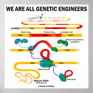 Póster Todos Somos Ingenieros Genéticos (Empalmamiento Ge