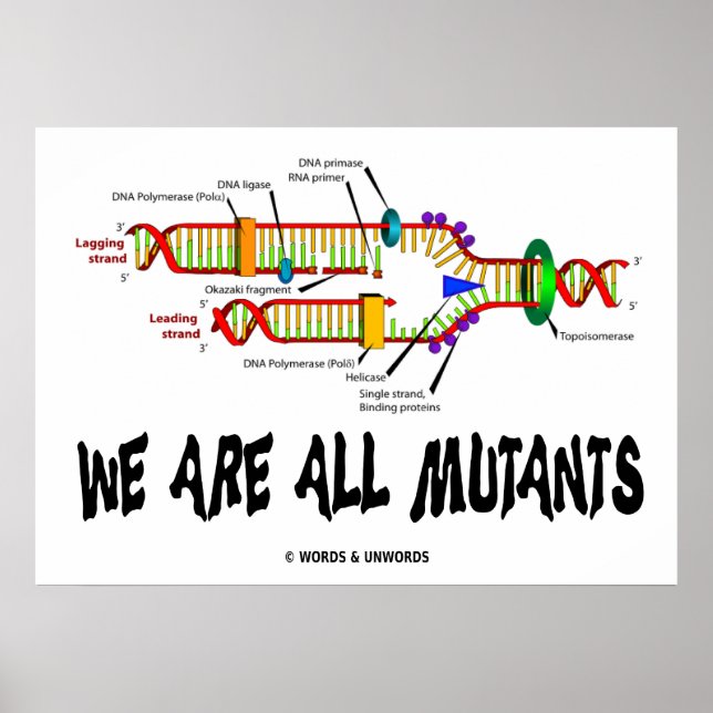 Póster Todos Somos Mutantes (Replicación de ADN) (Frente)