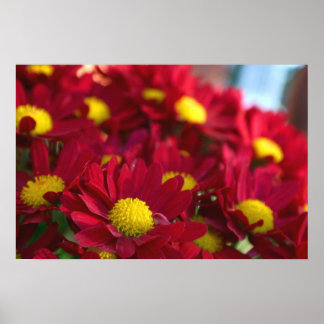 Póster Todos tienen Mamá