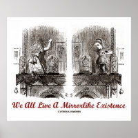 Todos Vivimos Una Existencia Mirrorlike (Maravilla