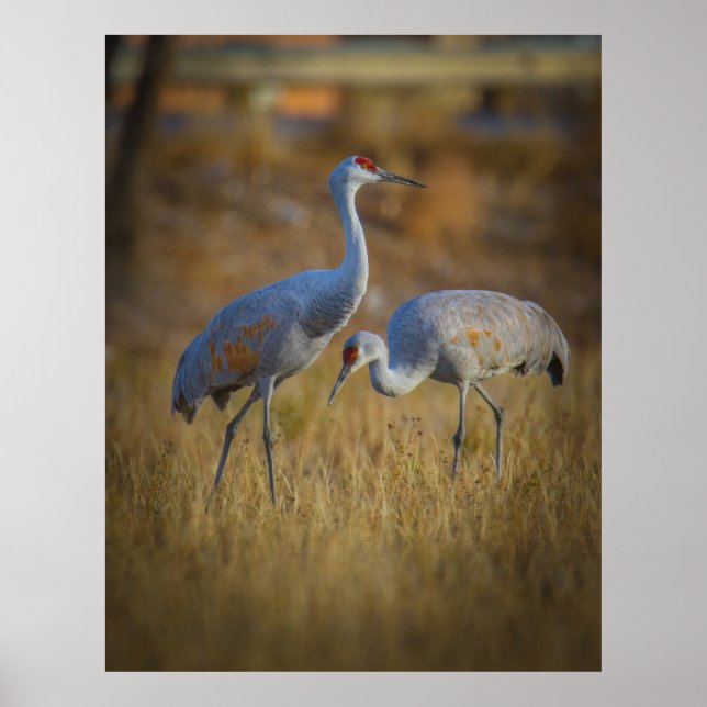 Póster Together (Frente)