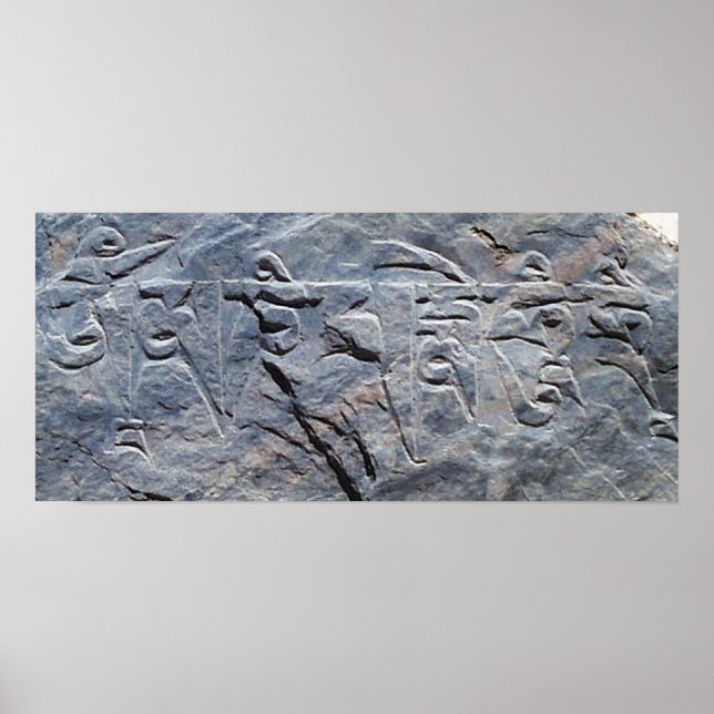 Póster Tom mani padme hum shi cierra (Frente)