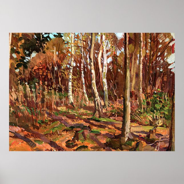 Póster Tom Thomson - Vista del parque Algonquin (Frente)