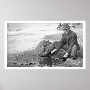 Póster Toma panorámica para el oro Alaska 1907