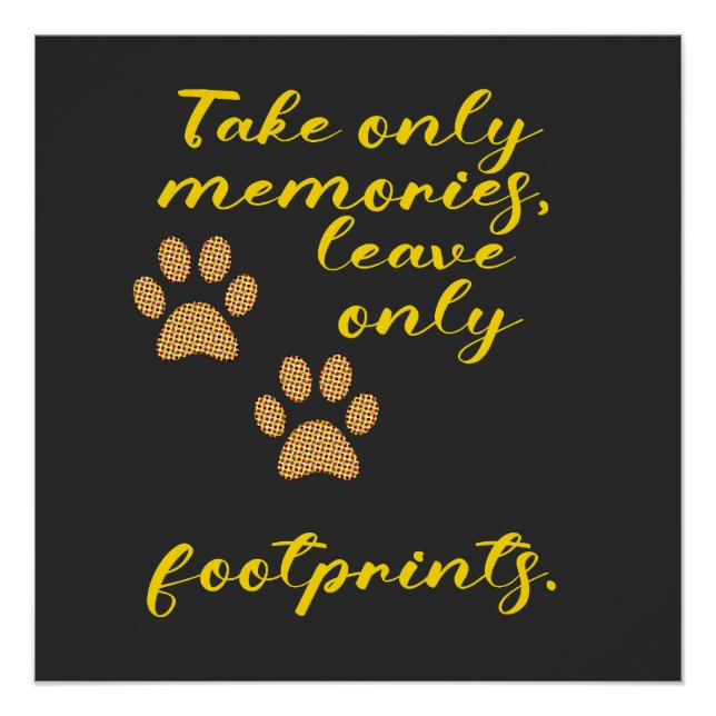 Póster Toma sólo recuerdos, deja sólo huellas. (Anverso)