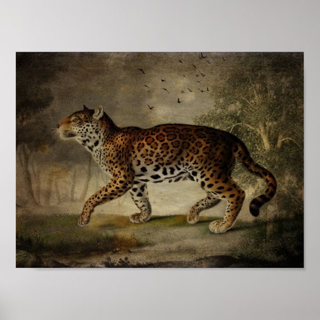 Póster Tomado prestado del árbol Rosa (Frente)