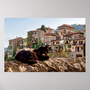 Póster Tomar el sol en una pared - Valldemossa, Mallorca