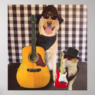 Póster Tomar solicitudes