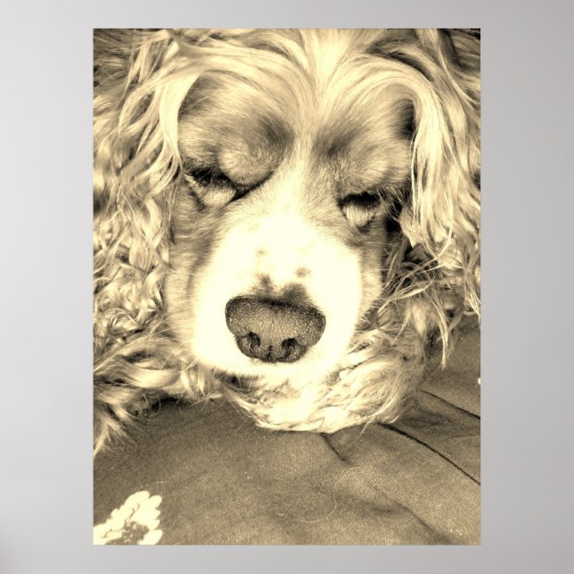 Póster Tomar un momento (Frente)