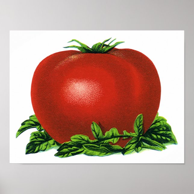 Póster Tomate, verduras y frutas de la madriguera roja (Frente)