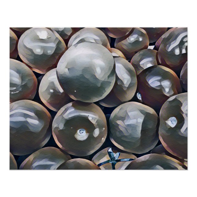 PÓSTER TOMATES (Anverso)