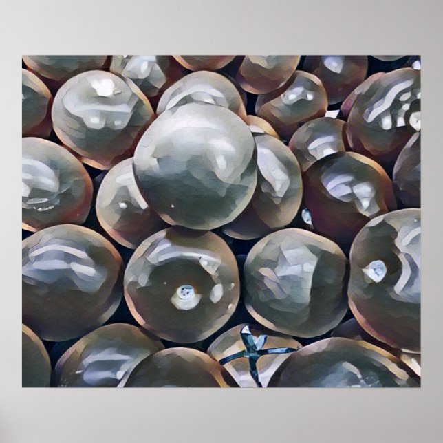 PÓSTER TOMATES (Frente)