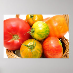 Póster Tomates coloridos de la herencia