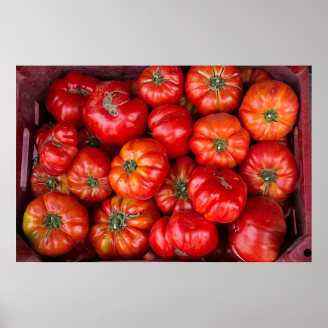 Póster Tomates En El Mercado (Frente)