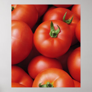 Póster Tomates Maduros - Rojo Brillante, Frescos