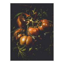 Tomates Rústicos Malhumorados Cocina de Granja Vin