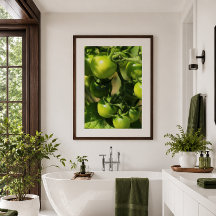Tomates verdes