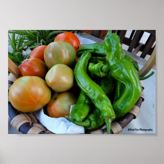 Póster Tomates y Pimientos Verdes en Cesta (Frente)
