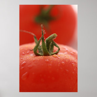 Póster Tomato Print