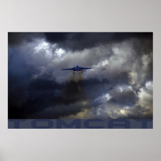 Póster Tomcat