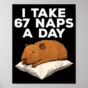 Póster Tomo 67 siestas al día divertido Capybara Seis Sie