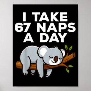Póster Tomo 67 siestas al día Koala divertido meme seis s