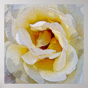 Póster tonos blancos a amarillos