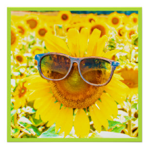 Póster Tonos de Girasol Chic