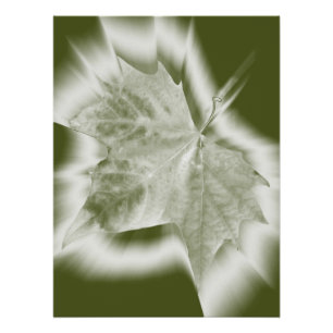 Póster tonos de verde