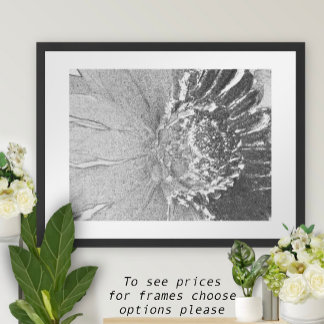 Póster Tonos margaritos de flor gris