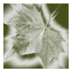 Póster tonos verdes