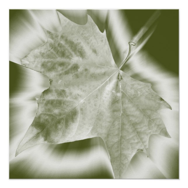 Póster tonos verdes (Anverso)