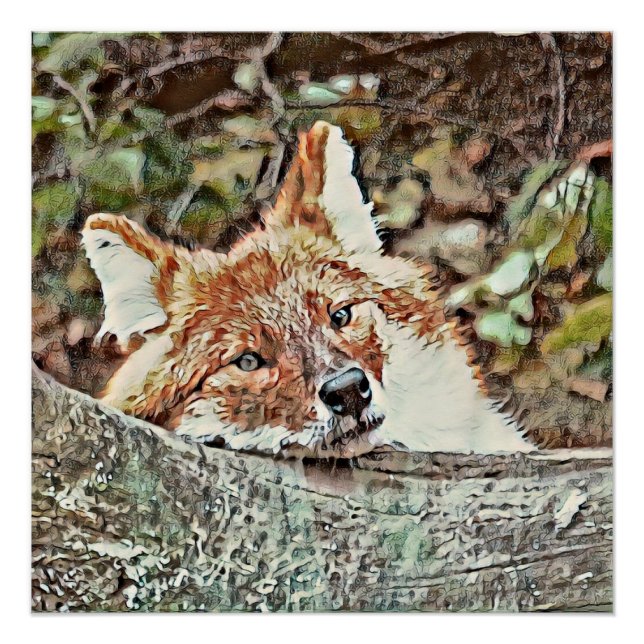 Póster Toony Fox (Anverso)