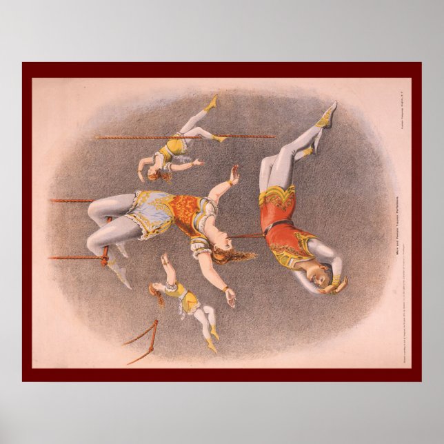 Póster TOP Acrobat en la casa (Frente)