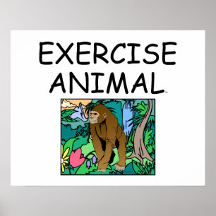 Póster TOP Exercise Animal