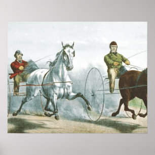 Póster TOP Horse Poetry