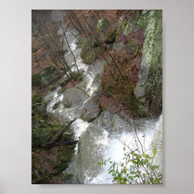 Póster Top of the Falls (Frente)