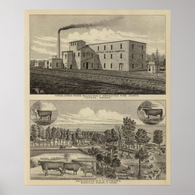 Póster Topeka Starch Workand Residence de DM Howard (Frente)