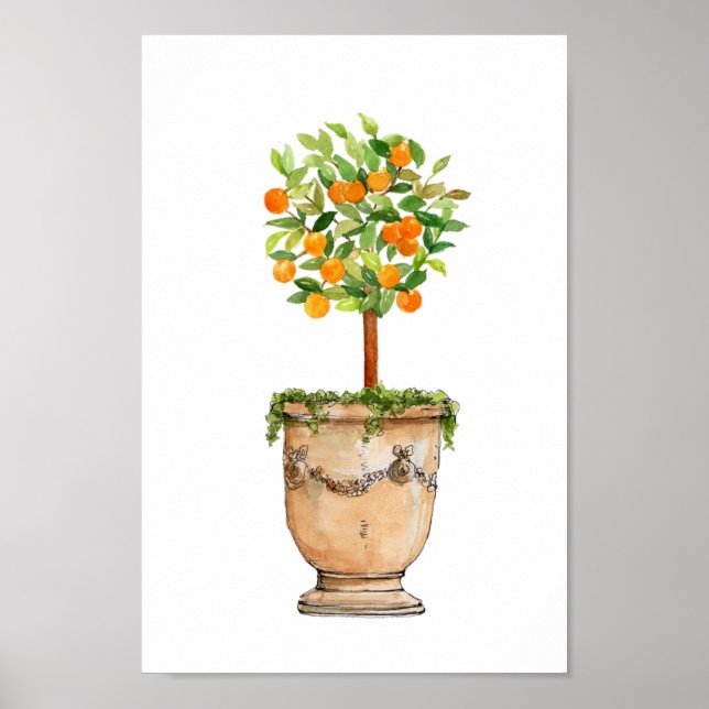Póster Topiario de árbol Naranja acuarela en urna antigua (Frente)