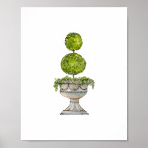 Póster Tópico acuarela Boxwood en urna antigua