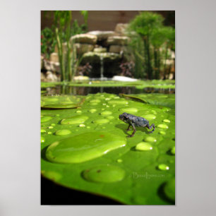 Póster Toque bebé en estanque