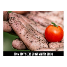 Toque de cosecha - La esencia del crecimiento