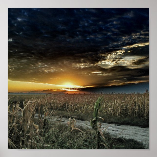 Póster Toque de polvo mágico de Oz (Frente)