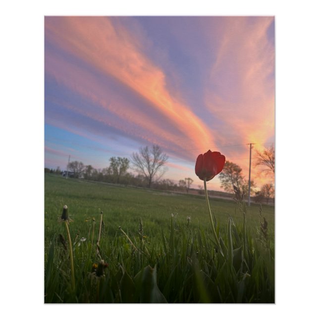 Póster Toque El Cielo (Anverso)