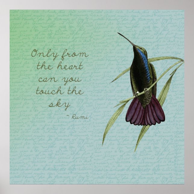 Póster Toque el colibrí del cielo (Frente)