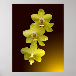 Póster Toque oriental