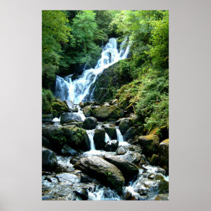 Póster TorcFalls