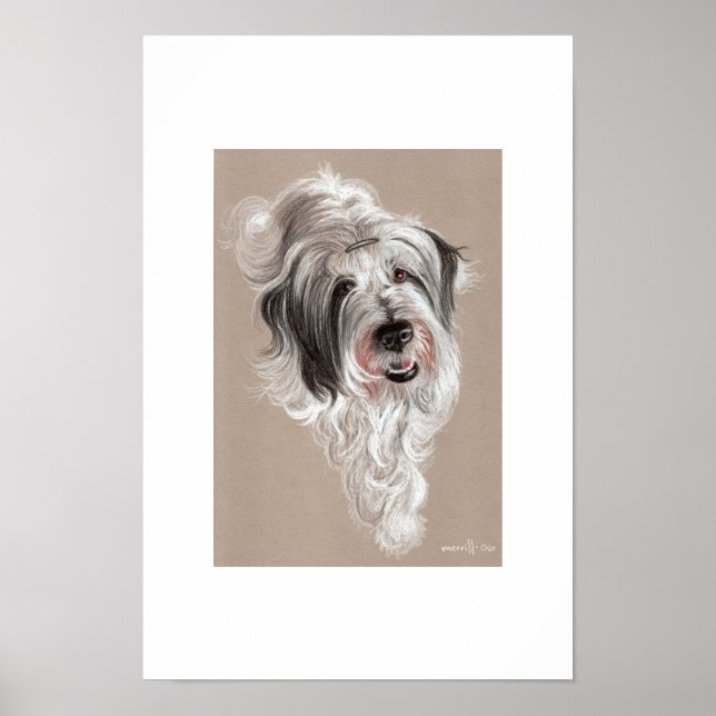 Póster Tormenta (Frente)